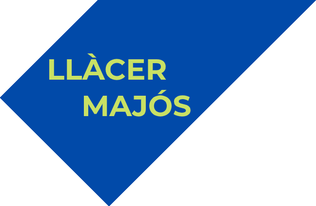 Llacer Majós